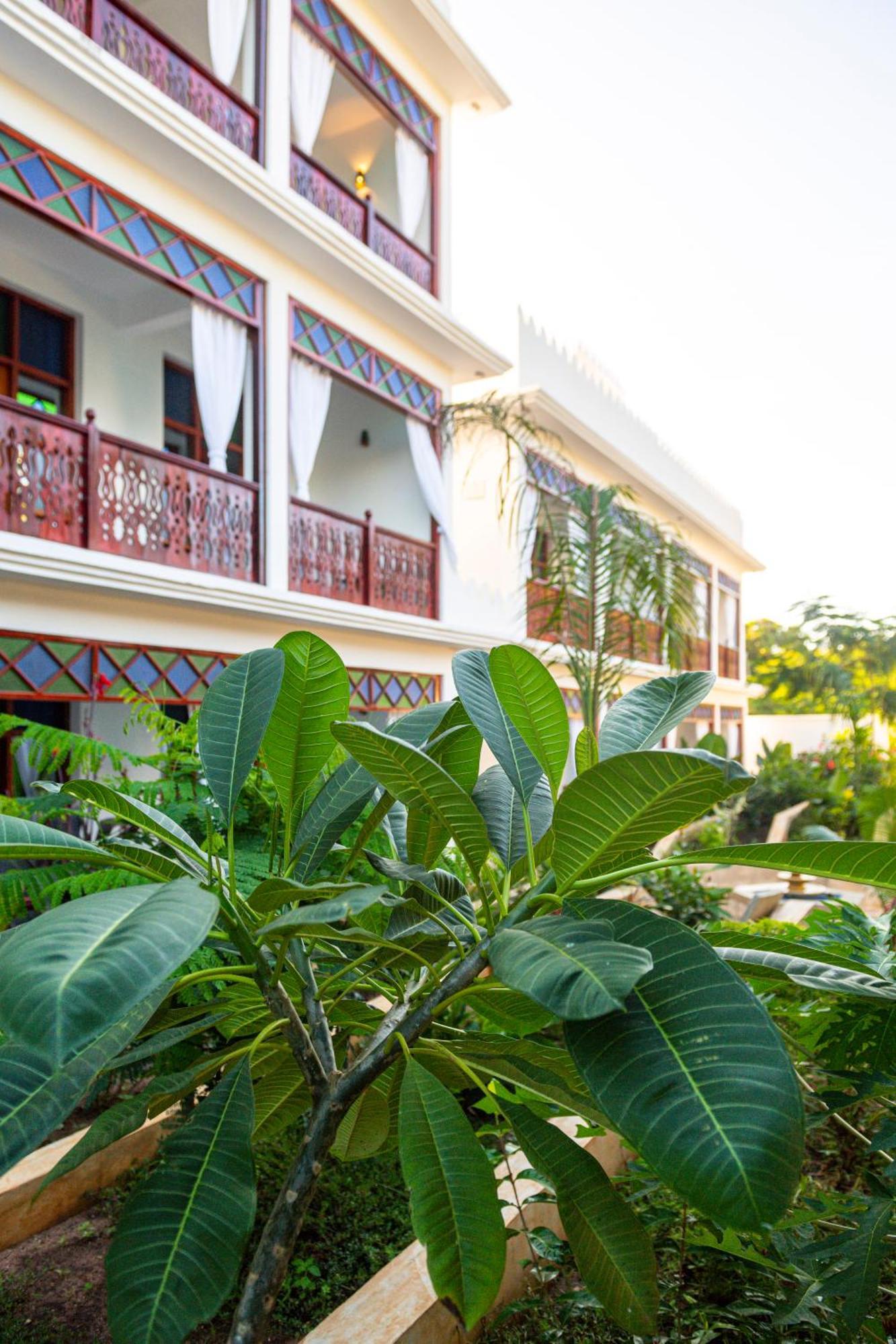 Tasneem Islamic Luxury Suites Jambiani  Esterno foto